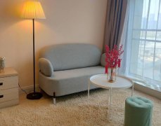 萧山钱江世纪城 左右世界 盈丰路地铁口旁 精装独卫