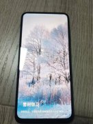 高配版华为畅享10plus 8G+128G